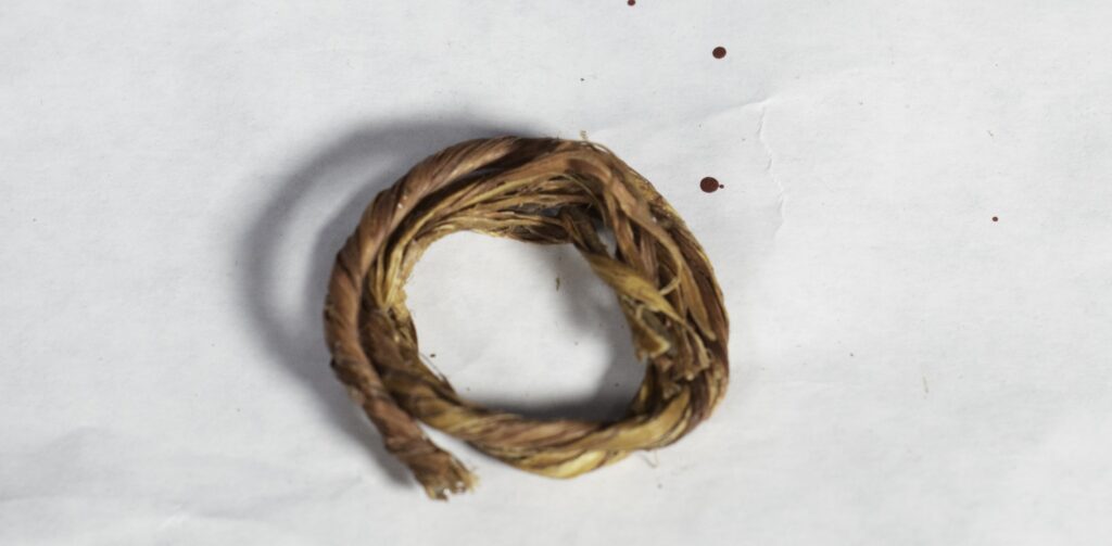 4 Beautiful DIY Pine Cone Christmas Ornaments